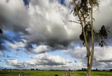 芒果娱乐平台：U20国足公布28人集训名单 备战主场亚洲杯2025-01-05.